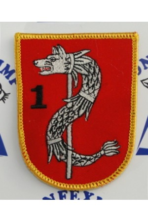 Divizia 1 Infanterie Dacica oras